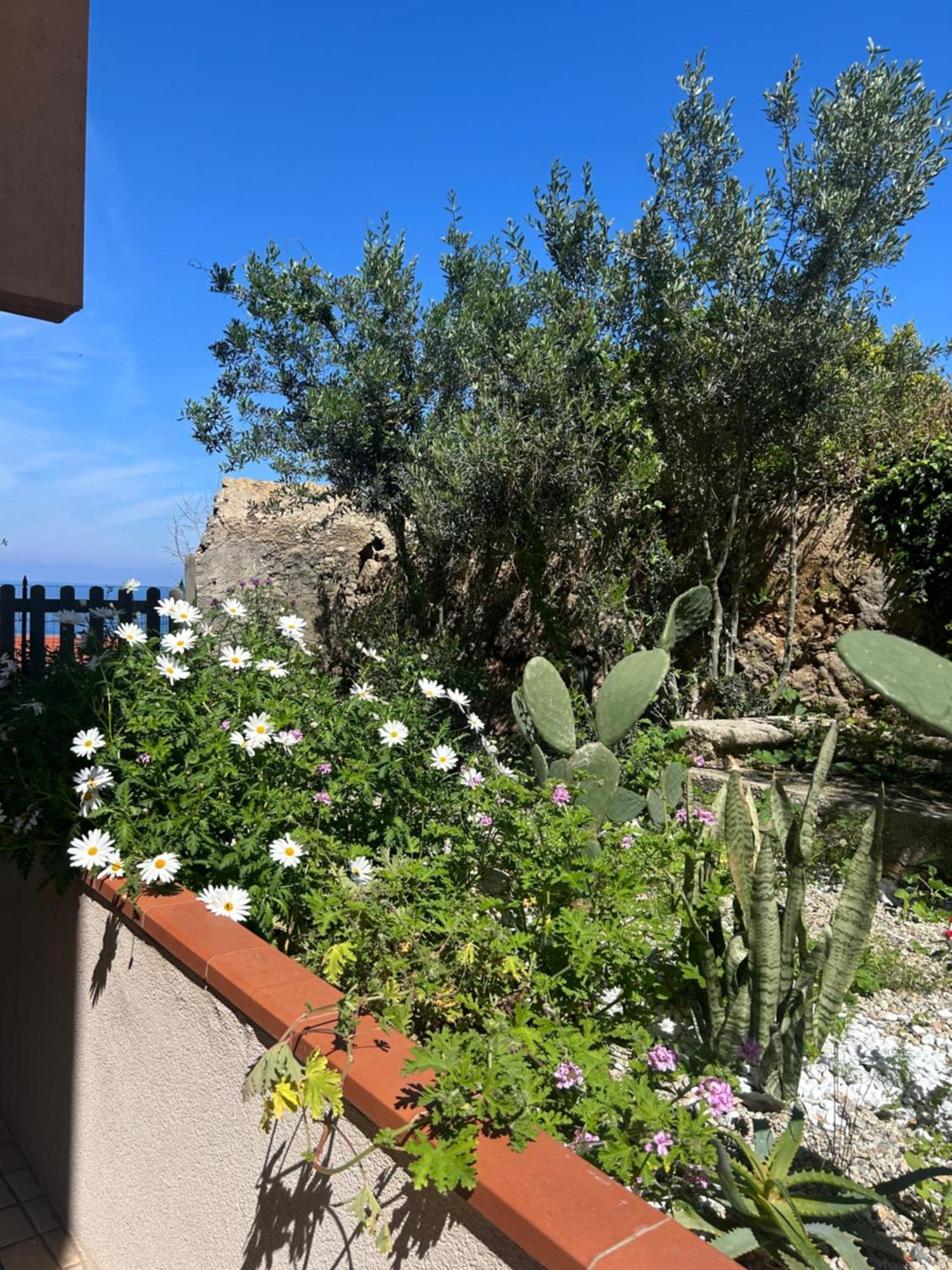 Arcobaleno Tropea Centro Bed & Breakfast Exterior foto